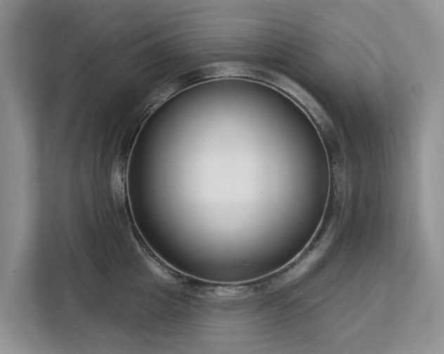 X0000113100857200908281346