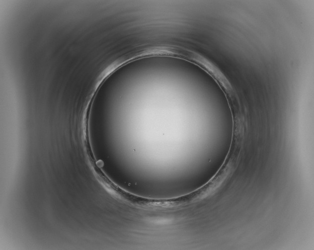 X0000113100858200908281346