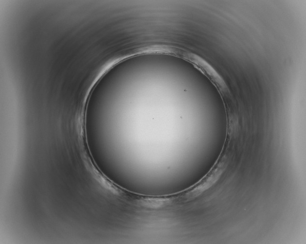 X0000113100860200908281346