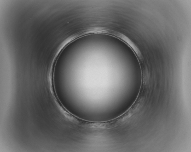X0000113100861200908281346