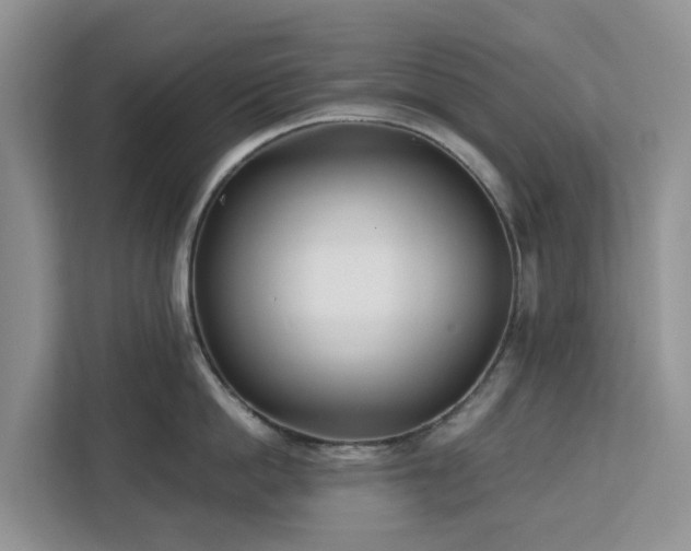 X0000113100862200908281346