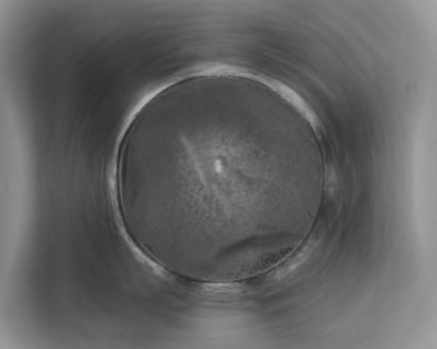 X0000113100863200908281346