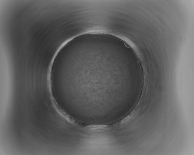 X0000113100864200908281346