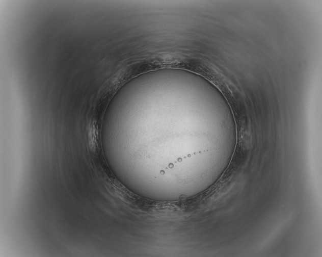 X0000113100866200908281346