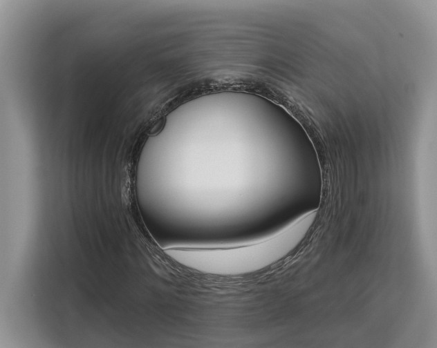 X0000113100868200908281346