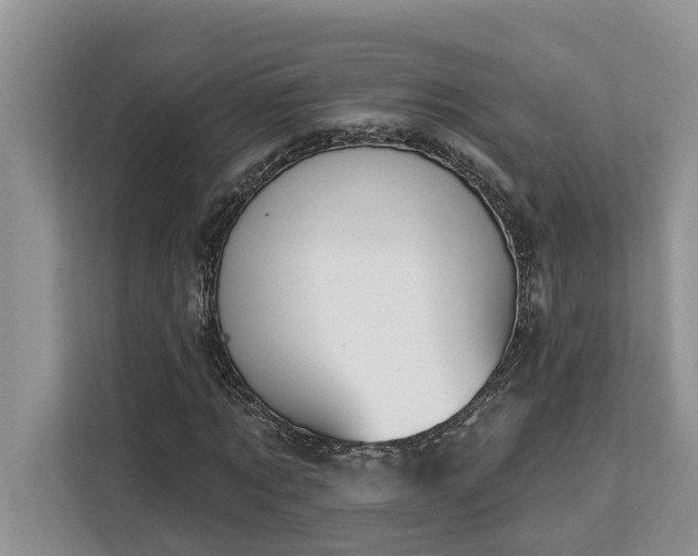X0000113100869200908281346