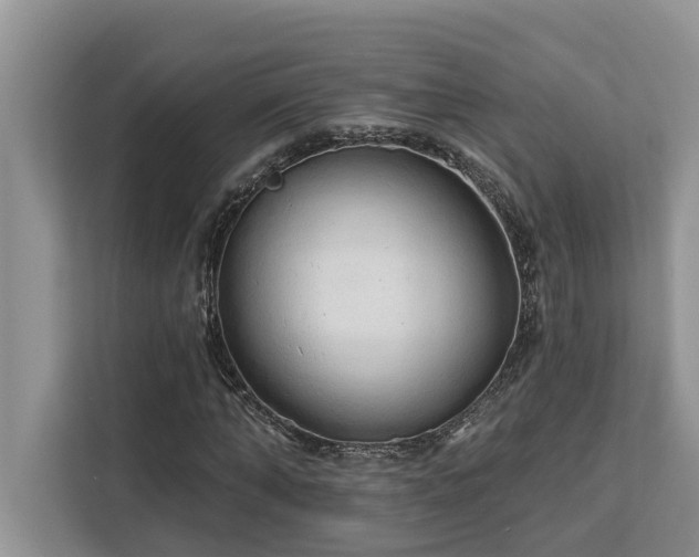 X0000113100870200908281346