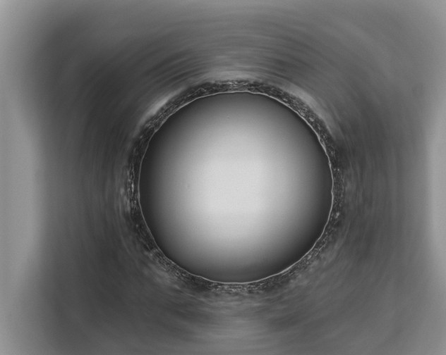 X0000113100871200908281346