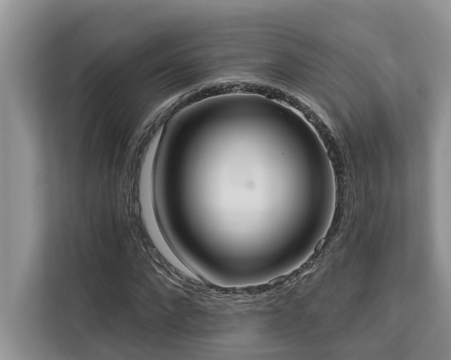 X0000113100872200908281346