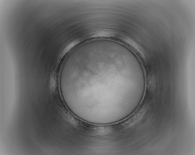 X0000113100874200908281346