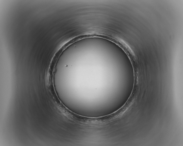 X0000113100876200908281346