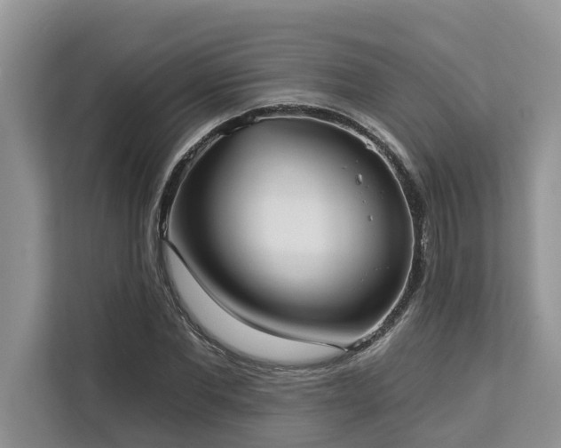 X0000113100877200908281346
