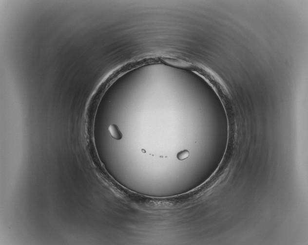 X0000113100878200908281346