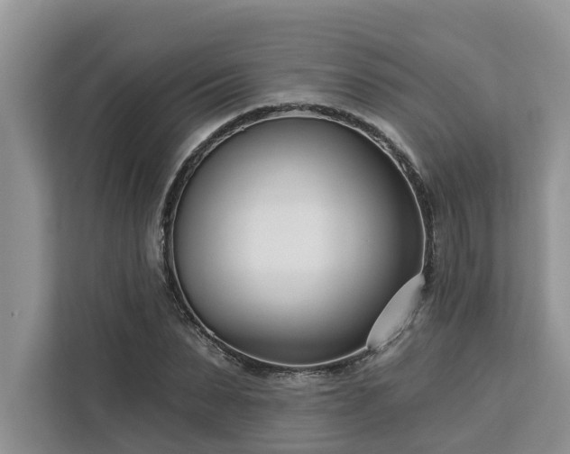 X0000113100879200908281346