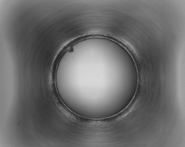 X0000113100880200908281346