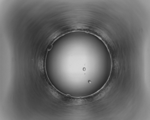 X0000113100881200908281346
