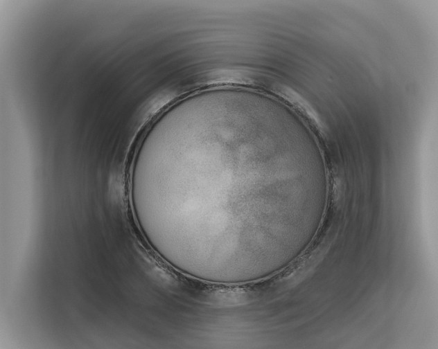 X0000113100882200908281346