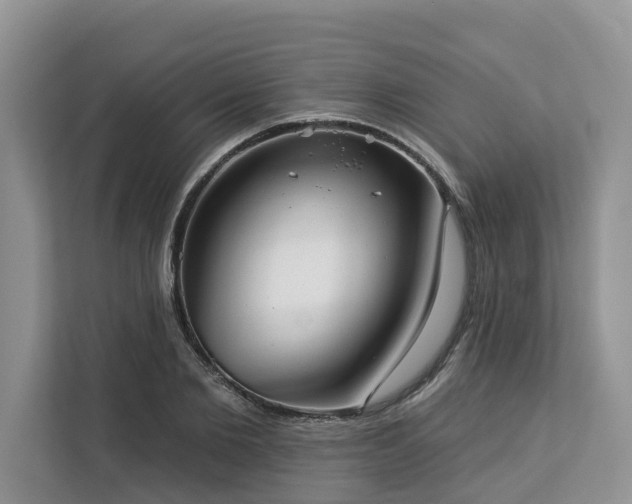 X0000113100885200908281346