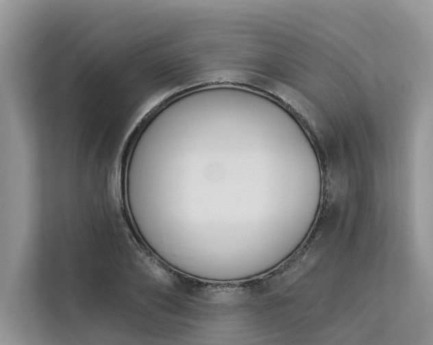X0000113100886200908281346