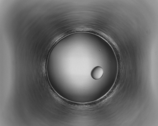 X0000113100889200908281345
