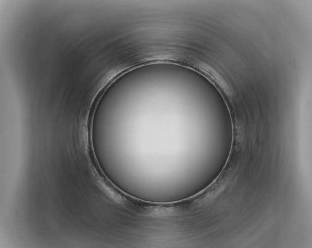 X0000113100890200908281345