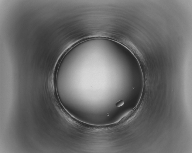 X0000113100892200908281345