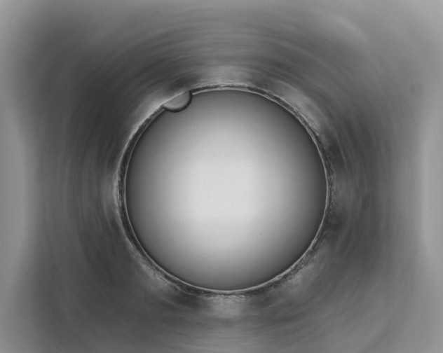 X0000113100893200908281345