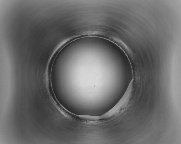 X0000113100894200908281345