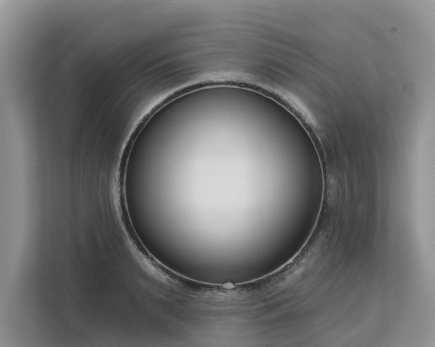 X0000113100895200908281345