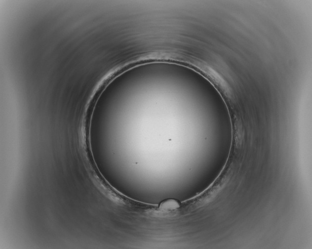 X0000113100896200908281345