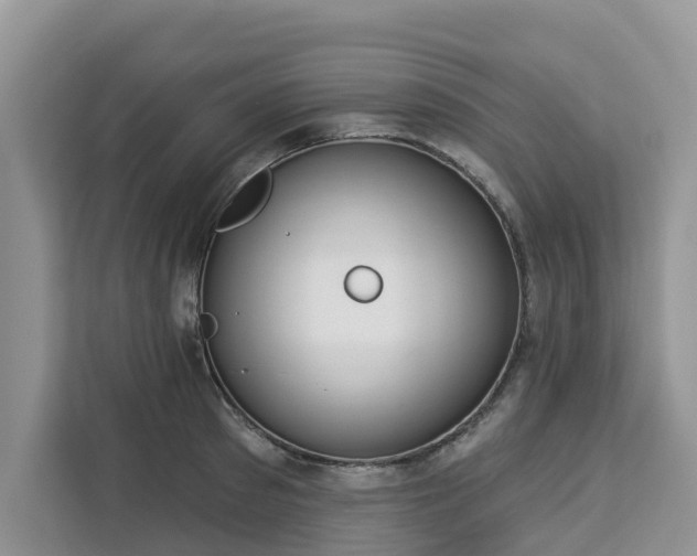 X0000113100897200908281345