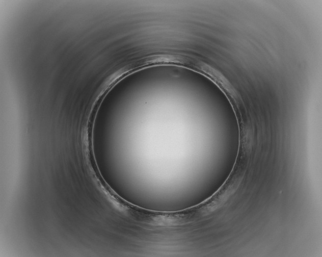 X0000113100898200908281345