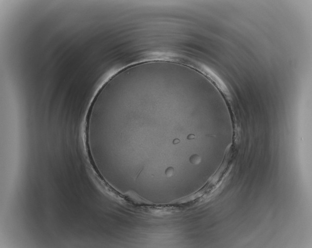 X0000113100899200908281345