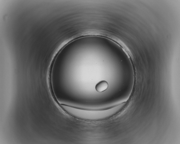 X0000113100901200908281345