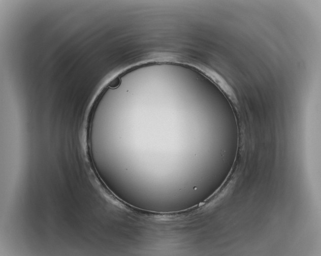 X0000113100904200908281345