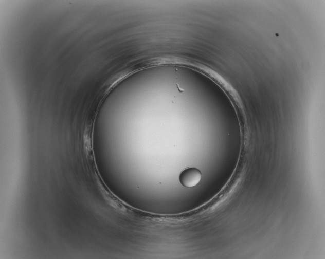 X0000113100905200908281345