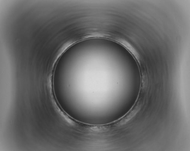 X0000113100906200908281345