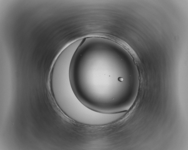 X0000113100908200908281345