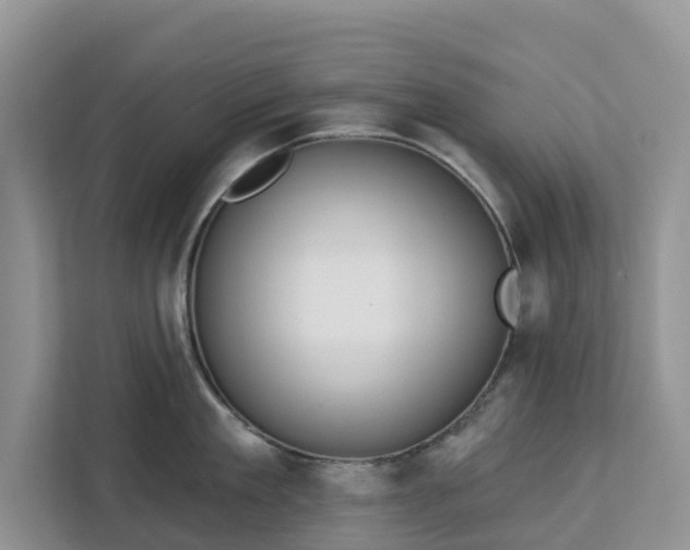 X0000113100909200908281345