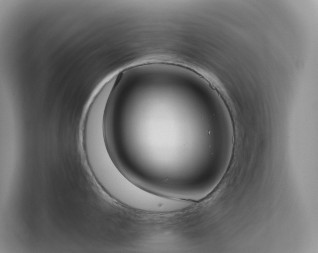 X0000113100912200908281345