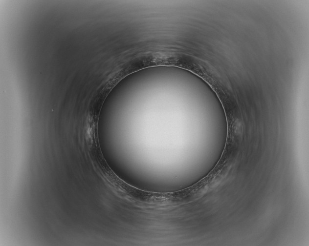 X0000113100914200908281345