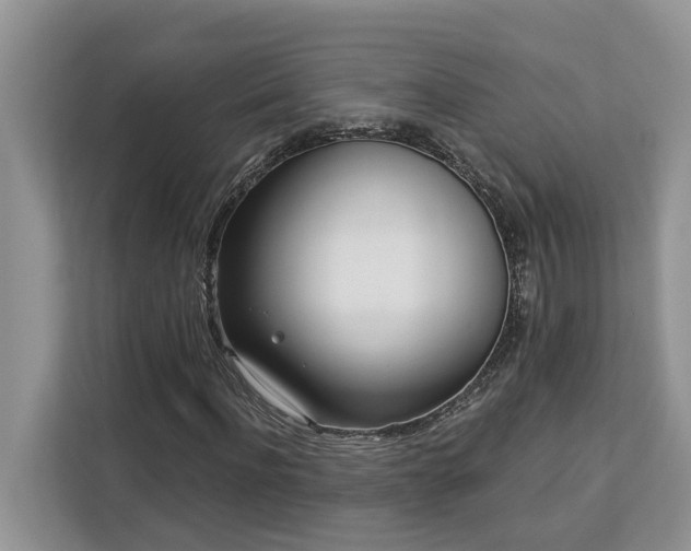 X0000113100916200908281345