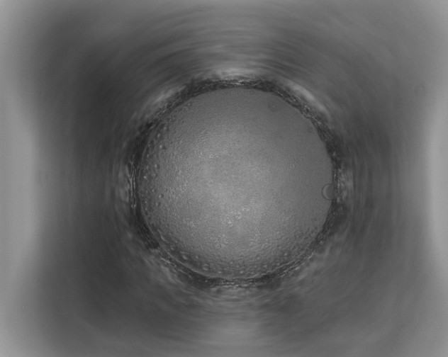 X0000113100917200908281345