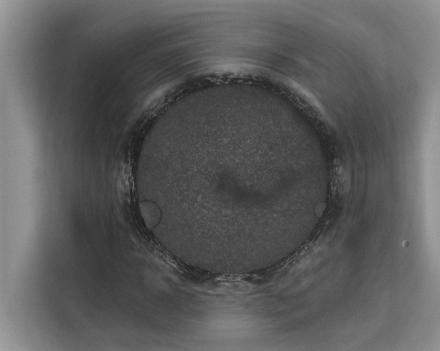 X0000113100918200908281345