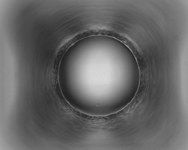 X0000113100919200908281345