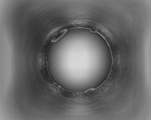X0000113100920200908281345