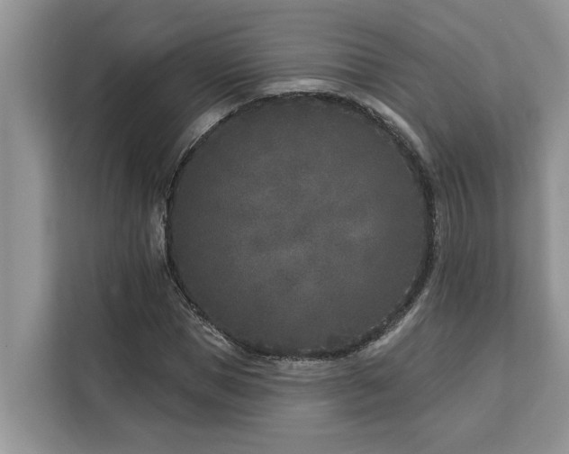 X0000113100921200908281345