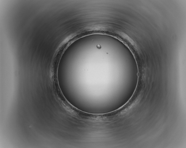 X0000113100922200908281345
