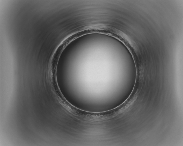 X0000113100923200908281345