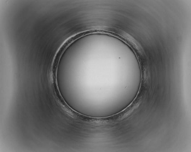 X0000113100924200908281345